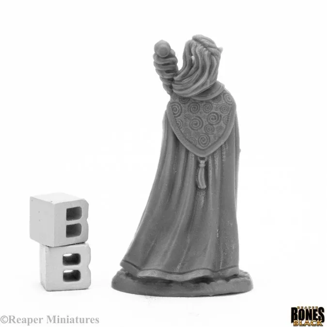 44008 - Anthanelle, ELf Wizard (Bones Black)