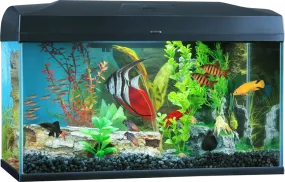 Blue Planet - Classic Aquarium (50L)