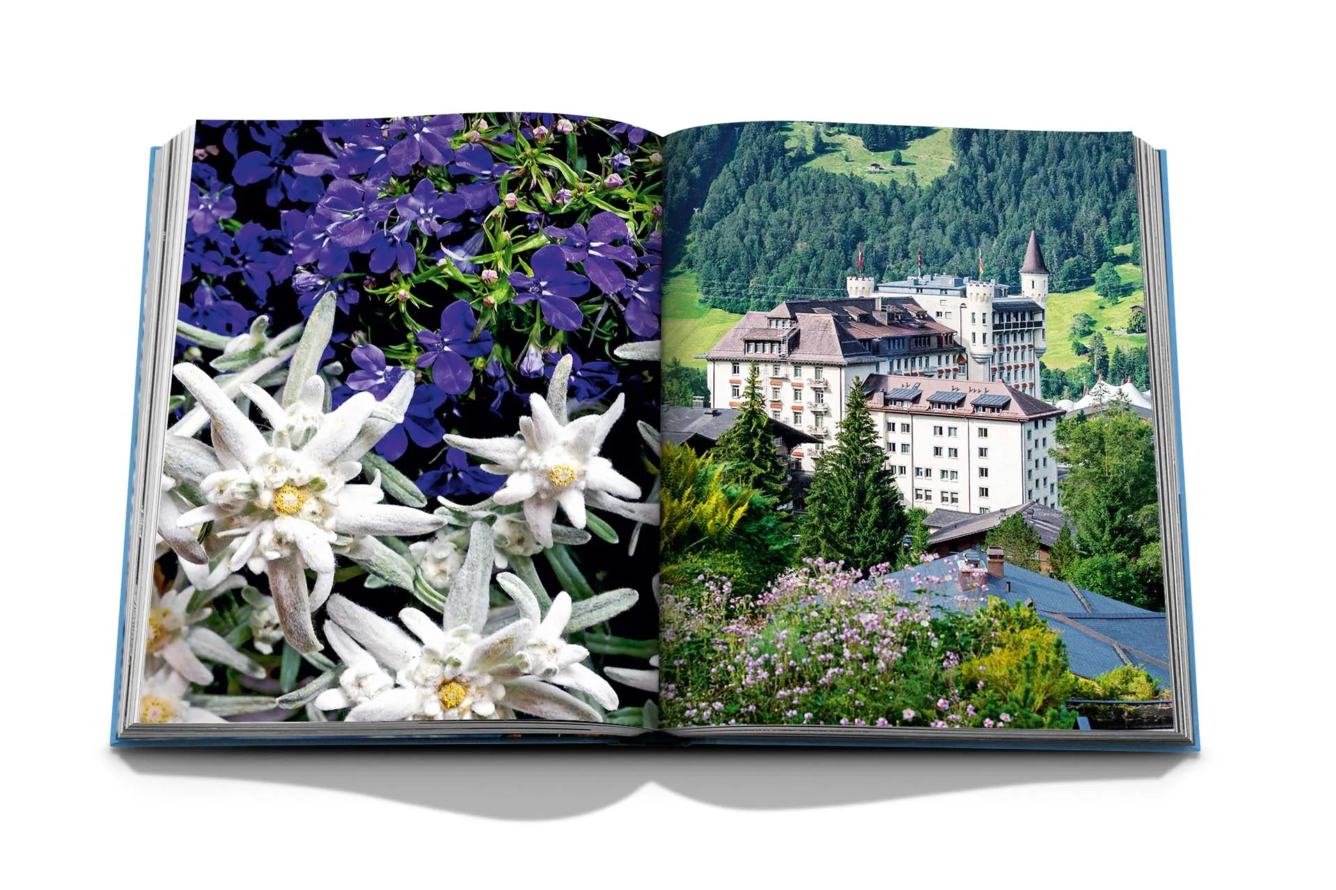 "Gstaad Glam"